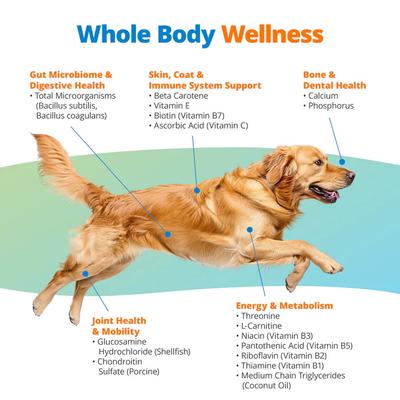 Show full view: 5Strands Peanut Butter Flavored Multivitamin for Dogs, 90-count slide 3 of 6