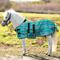 Show in main carousel: Kensington Protective Products UV Protective Mini Horse Fly Sheet, 42-in, Atlantis slide 2 of 7