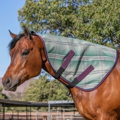 Kensington Protective Products Horse Fly Sheet Neck Piece, Imperial Jade, Large slide 2 of 7