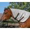 Show in main carousel: Kensington Protective Products Horse Fly Sheet Neck Piece, Desert Sand, X-Large slide 2 of 7