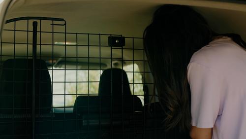 Show full view: Win World Pet Gazebo Cat & Dog Car Safety Barrier, Black slide 8 of 11