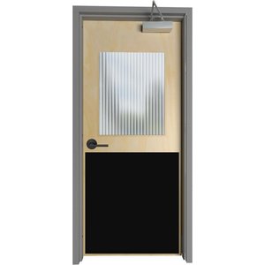 Protecto Clear Durable Door Scratch Protector for Dog