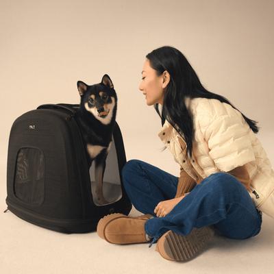 Show full view: Tavo Pets Crispin Protection System Dog & Cat Kennel, Onyx, Medium slide 8 of 11