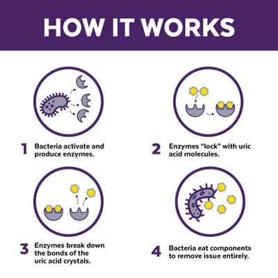 Show full view: Urine Off Cat & Kitten Formula Stain & Odor Remover, 16.9-fl oz bottle slide 3 of 8