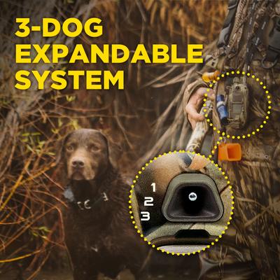 Show full view: Dogtra 1900X Waterproof Vibration & Tone Remote Dog Training Collar, 13 to 20-in neck, Camouflage slide 8 of 10
