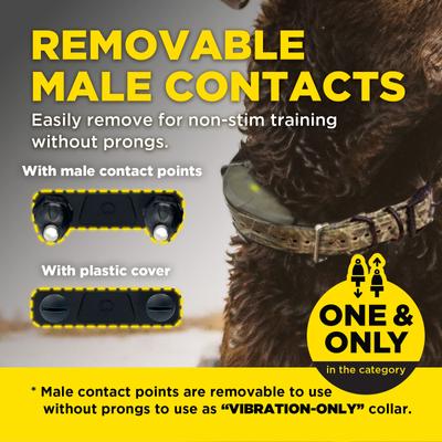 Show full view: Dogtra 1900X Waterproof Vibration & Tone Remote Dog Training Collar, 13 to 20-in neck, Camouflage slide 9 of 10