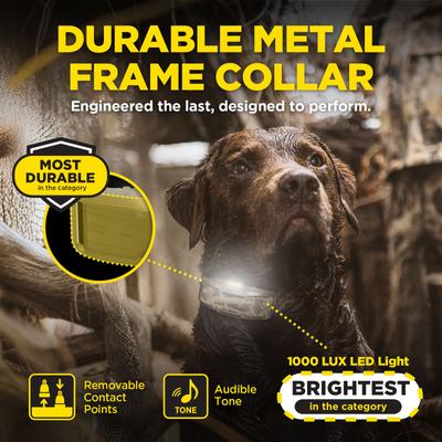 Show full view: Dogtra 1900X Waterproof Vibration & Tone Remote Dog Training Collar, 13 to 20-in neck, Camouflage slide 6 of 10