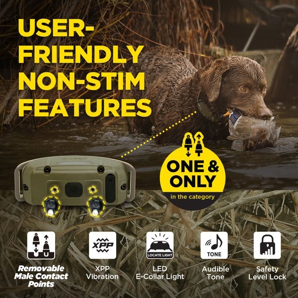 Dogtra 1900X Waterproof Vibration & Tone Remote Dog Training Collar, 13 to 20-in neck, Camouflage