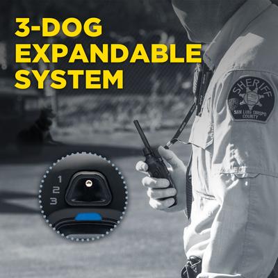 Show full view: Dogtra 1900X Black Edition Waterproof Vibration & Tone Remote Dog Training Collar, 13 to 20-in neck, Matte Black slide 6 of 10