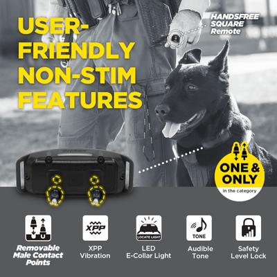Show full view: Dogtra 1900X Black Edition Waterproof Vibration & Tone Remote Dog Training Collar, 13 to 20-in neck, Matte Black slide 3 of 10