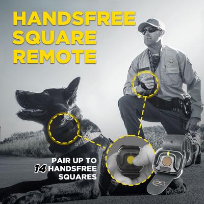 Show full view: Dogtra 1900X Black Edition Waterproof Vibration & Tone Remote Dog Training Collar, 13 to 20-in neck, Matte Black slide 2 of 10