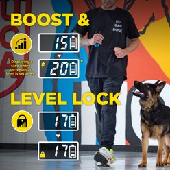 Dogtra Tom Davis Edition 280C 2.0 1/2 Mile Waterproof Vibration & Tone Remote Dog Training Collar, one-size, Green/Yellow slide 2 of 9