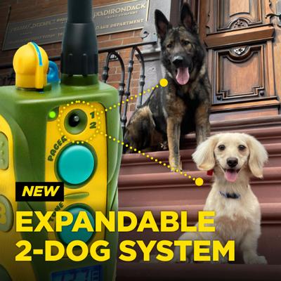 Show full view: Dogtra Tom Davis Edition 280C 2.0 1/2 Mile Waterproof Vibration & Tone Remote Dog Training Collar, one-size, Green/Yellow slide 8 of 10