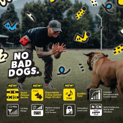 Show full view: Dogtra Tom Davis Edition 280C 2.0 1/2 Mile Waterproof Vibration & Tone Remote Dog Training Collar, one-size, Green/Yellow slide 4 of 10