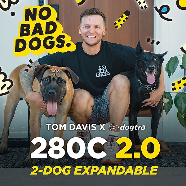 Show full view: Dogtra Tom Davis Edition 280C 2.0 1/2 Mile Waterproof Vibration & Tone Remote Dog Training Collar, one-size, Green/Yellow slide 3 of 9