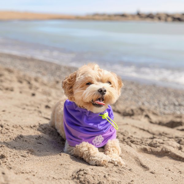 Canada Pooch Max Chill Cooling Snood Dog Bandana