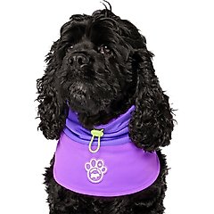 Canada Pooch Max Chill Cooling Snood Dog Bandana, Small