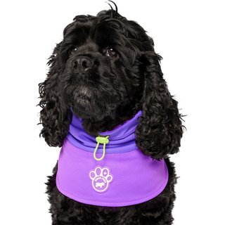 Canada Pooch Max Chill Cooling Snood Dog Bandana, Medium slide 1 of 3