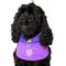 Show in main carousel: Canada Pooch Max Chill Cooling Snood Dog Bandana, Small slide 1 of 4