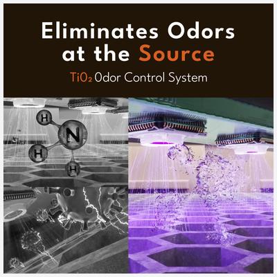 Show full view: PetSnowy Automatic Odor-Free Self-Cleaning Cat Litter Box, Cream slide 2 of 8