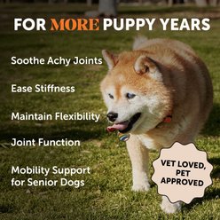 Pet Honesty Hemp Hip & Joint Peanut Butter Flavored Glucosamine & Hemp Chews Joint Supplements for Senior Dogs, 90 count slide 2 of 9