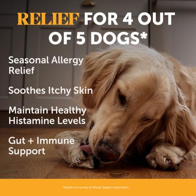 Show full view: Pet Honesty Allergy Support Salmon Flavored Colostrum & Turmeric Chews, Itchy Skin, Immune & Allergy Relief Supplement for Dogs, 180 count slide 3 of 13