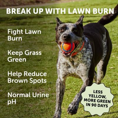 Show full view: Pet Honesty Grass Green Turkey Flavored Soft Chews Digestive Support for Dogs, 270 count slide 3 of 13