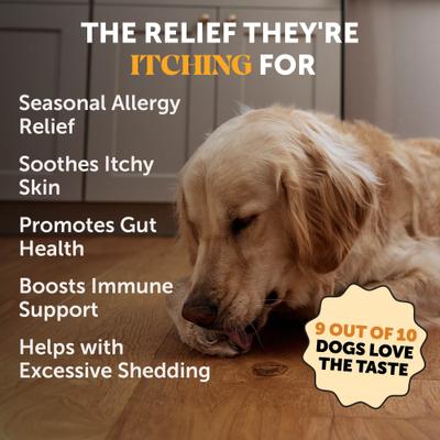 Show full view: Pet Honesty Allergy Skin Health Salmon Flavored Allergy & Itch Relief, Omega-3 Supplement for Dogs, 90 count slide 3 of 13