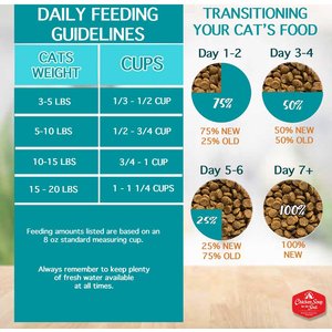 Chicken Soup for the Soul Indoor with Hairball Care Chicken & Brown Rice Recipe Adult Dry Cat Food, 12-lb bag