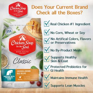Chicken Soup for the Soul Indoor with Hairball Care Chicken & Brown Rice Recipe Adult Dry Cat Food, 12-lb bag