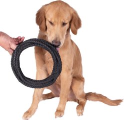 Wrangler Foam Coiled Rope Dog Chew Toy, Black slide 2 of 5