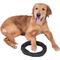 Show in main carousel: Wrangler Foam Coiled Rope Dog Chew Toy, Black slide 1 of 5