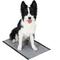 Show in main carousel: Glad for Pets Carbon Activated Training Dog Potty Pads, Small, 17.5 x 23.5-in, 120 count slide 4 of 8