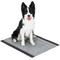 Show in main carousel: Glad for Pets Activated Carbon Jumbo Dog Training Pads, Unscented, 28 x 30-in, 50 count slide 4 of 8