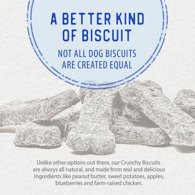 Show full view: Caledon Farms Dodo Chicken with Apple & Blueberry Crunchy Dog Treats, 19.5-oz bag slide 5 of 10