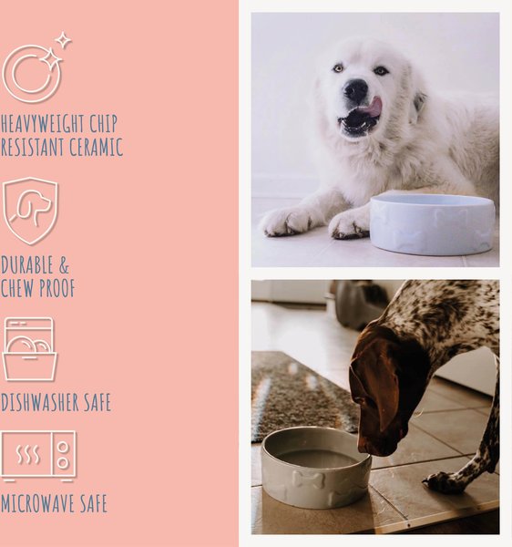 Show full view: Park Life Designs Manor Ceramic Dog Bowl, 2 count, Gray, Small: 2-cup slide 6 of 6