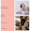 Show in main carousel: Park Life Designs Manor Ceramic Dog Bowl, 2 count, Gray, Small: 2-cup slide 6 of 6