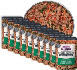 Health Extension Gently Cooked Duck & Kale Recipe Wet Dog Food, 3-oz pouch, 10 count