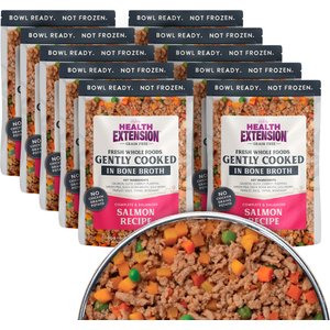 Health Extension Gently Cooked Grain-Free Salmon Recipe Wet Dog Food, 9-oz pouch, 10 count