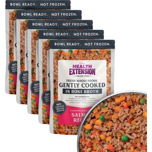 Health Extension Gently Cooked Grain-Free Salmon Recipe Wet Dog Food, 9-oz pouch, 5 count