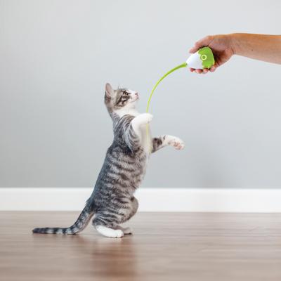 Show full view: Pets Know Best Purrspin Cat Motion Toy slide 8 of 11