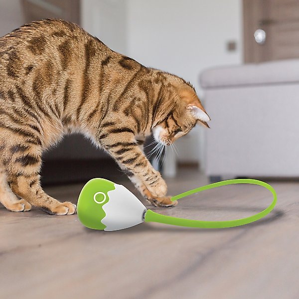 Show full view: Pets Know Best Purrspin Cat Motion Toy slide 7 of 10