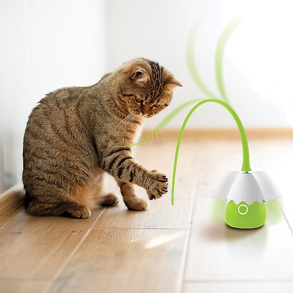 Show full view: Pets Know Best Purrspin Cat Motion Toy slide 6 of 10