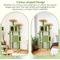 Show in main carousel: Globlazer 61-in Tall Cactus Cat Tree, Green slide 7 of 9