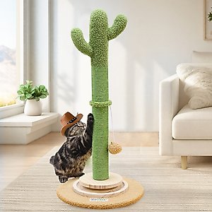 Globlazer 30-in Cactus Cat Scratching Post, Green