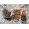 Show in main carousel: Exotic Nutrition Hedgehog Variety Pack Small Pet Treats slide 6 of 9