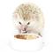 Show in main carousel: Exotic Nutrition Hedgehog Variety Pack Small Pet Treats slide 2 of 9