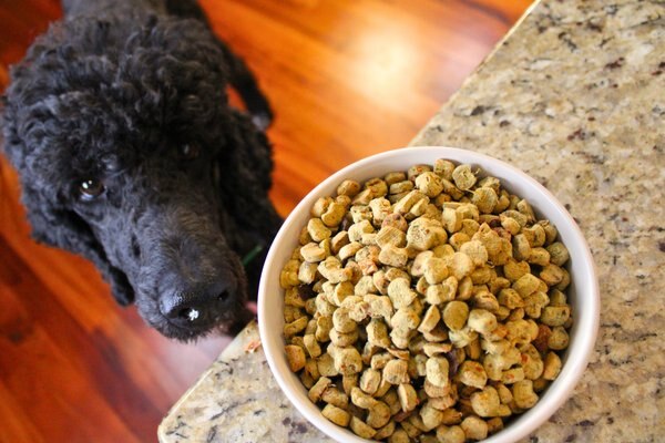 Wet Noses Turkey & Rice Dehydrated Patties Dog Food