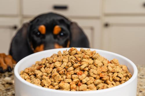 Show full view: Wet Noses Oven Baked Human Grade Beef Recipe Dry Dog Food, 5-lb box slide 6 of 9