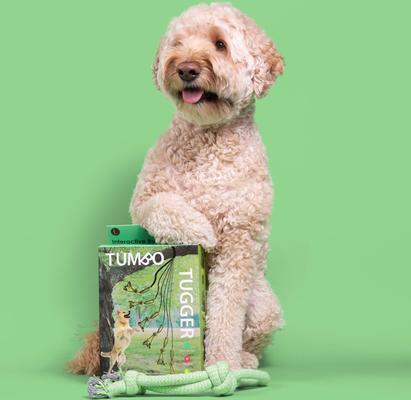 Show full view: Tumbo Tugger Dog Toy, Green, Large slide 7 of 9